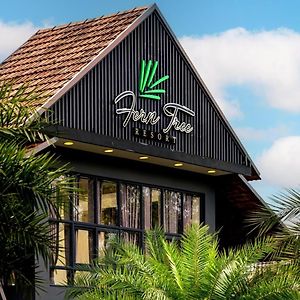 Fern Tree Resort